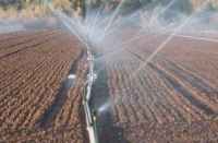 The Parks Department filed a scandal in bhilwara