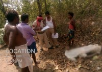 Elephant killed villager