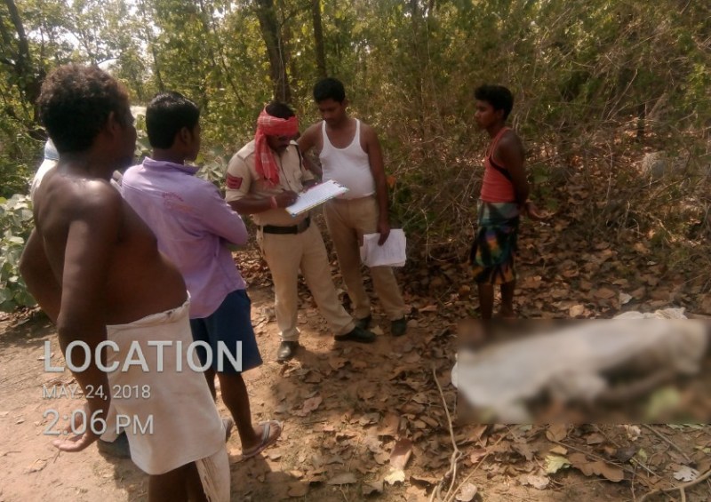 Elephant killed villager