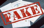 fake case