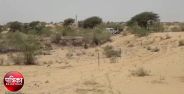 Forest department's action
