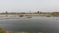 Yamuna flows