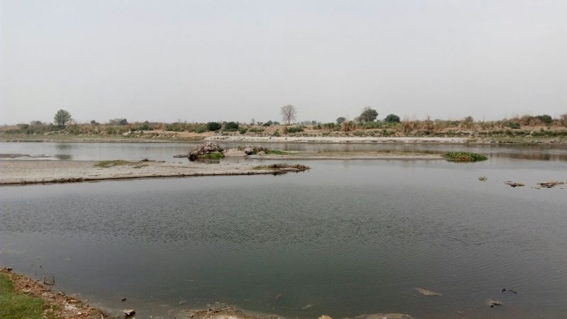 Yamuna flows