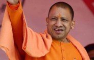 yogi