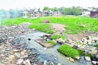 Satna Nagar Nigam Ward No. 20 news in hindi