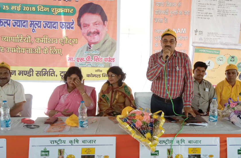 Madhu baghel