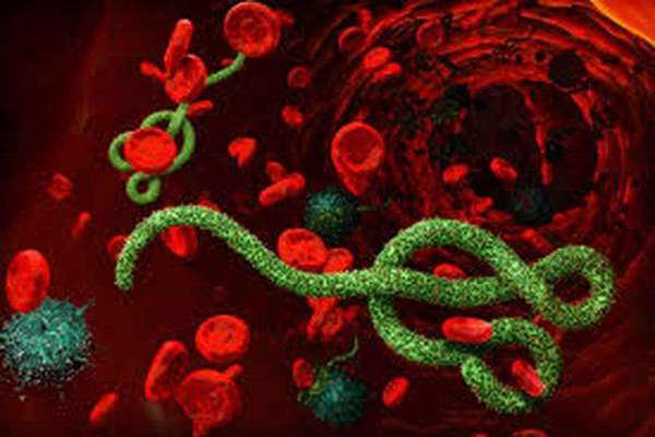 ebola