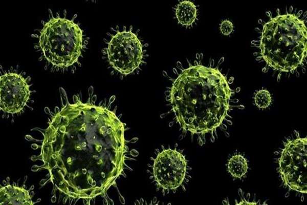 H1N1