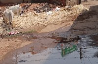 यहां नहीं पहुंचती स्वाच्छता अभियान की टीम