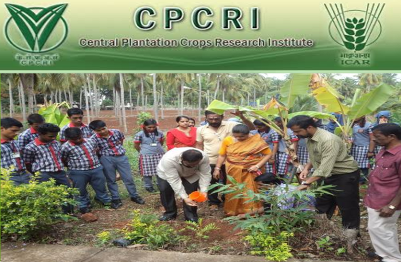 central-plantation-crops-research-institute-recruitment-2018