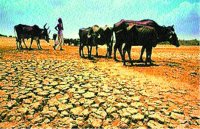 In Bundelkhand : facing basic problems like electricity and water