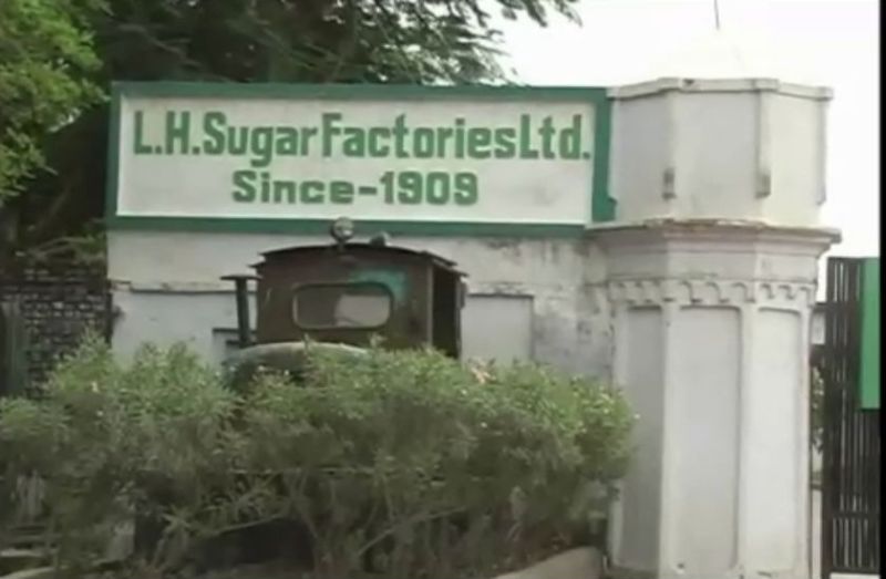 LH Sugar factory