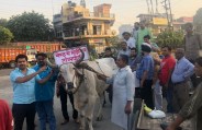 meerut