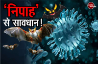 nipah virus