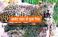 Rajsamand,Rajsamand news,Rajsamand local news,rajsamand news in hindi,rajsamand latest hindi news,Latest News rajsamand,Latest hindi news rajsamand,
