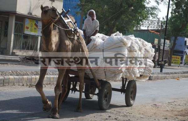 पारा 46 से उपर