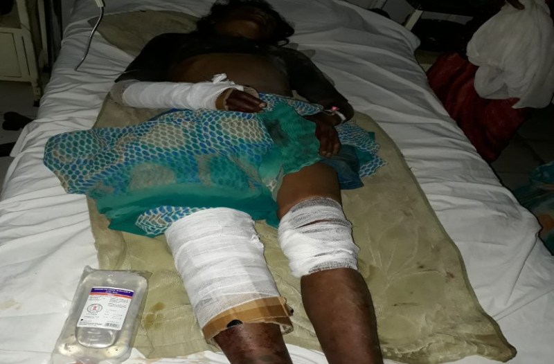 हाथियों के झुंड ने एक दंपति को कुचल दिया