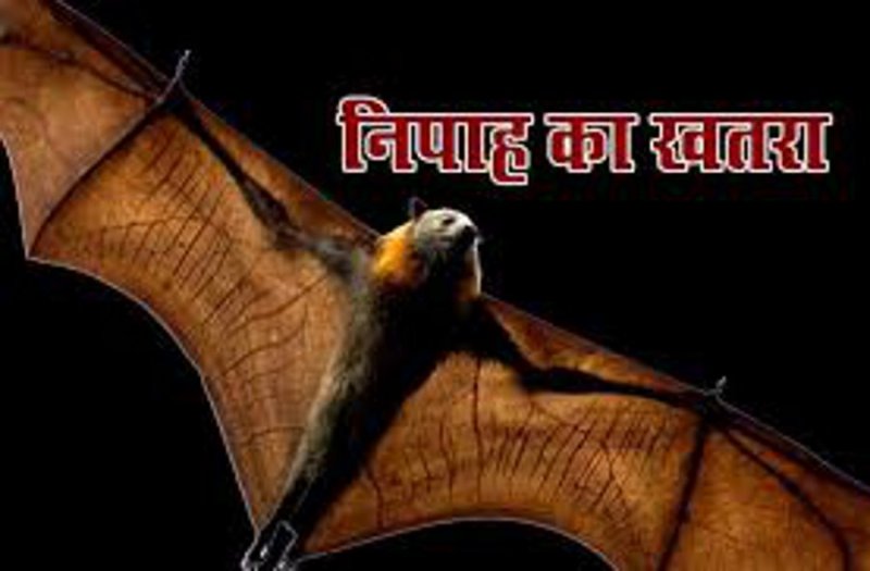 Alert Issue with Nipah Virus