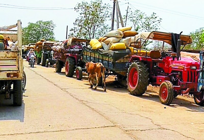 chana kharidi kendra news in panna