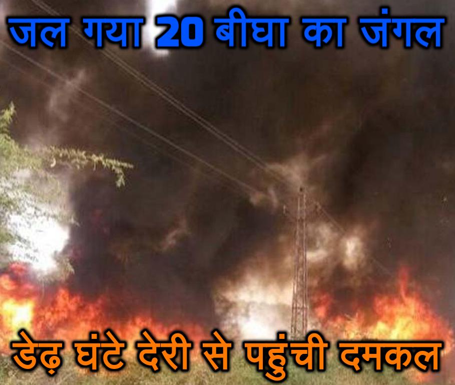 जल गया 20 बीघा का जंगल, डेढ़ घंटे देरी से पहुंची दमकल