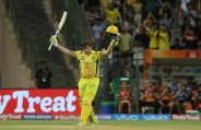 shane watson 