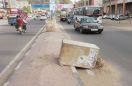 Jodhpur : Several tree pot breaks on dividers, Inviting accident