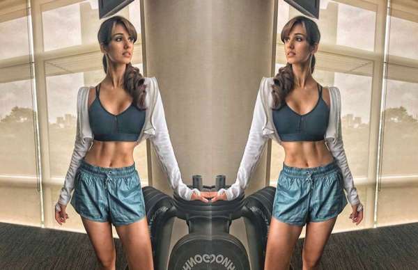 disha patani hot bikini photos