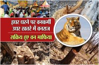 Dharne par vankarmi, khatre men vanraaj