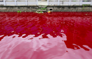 water resource