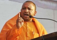 yogi