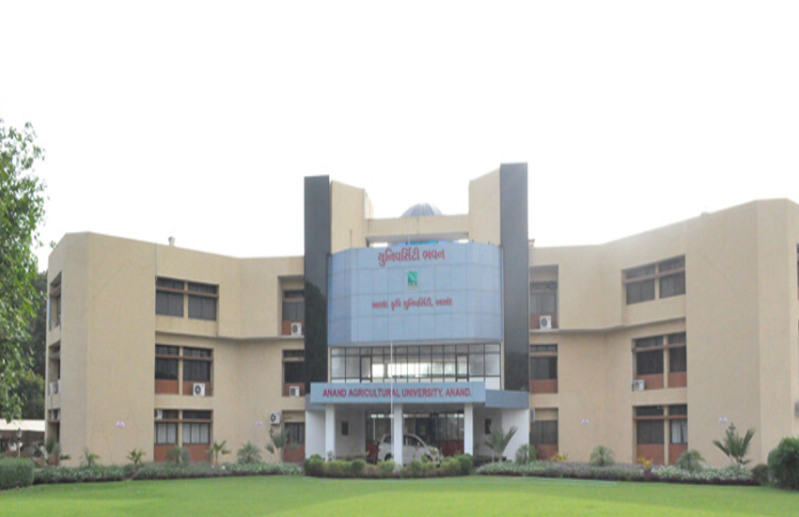 AAU faculty recruitment 2018