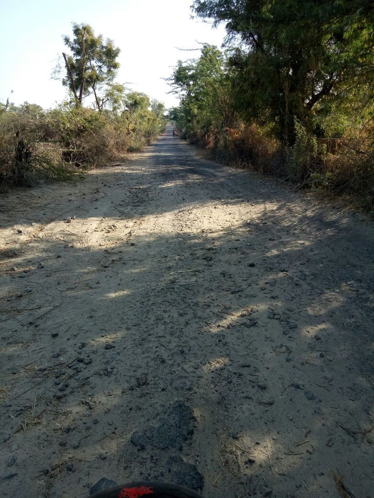 47 सड़कें क्षतिग्रस्त, 37 करोड़ की दरकार, कब फैसला करेगी सरकार