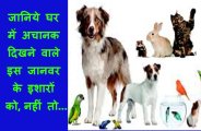 oet animal