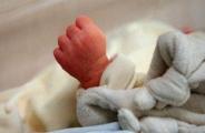 newborn 