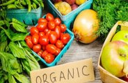 Organic food 