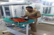 moradabad