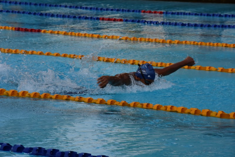 state-swimming-championship
