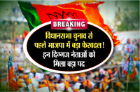 assembly election 2018 bjp big change in madhya pradesh 