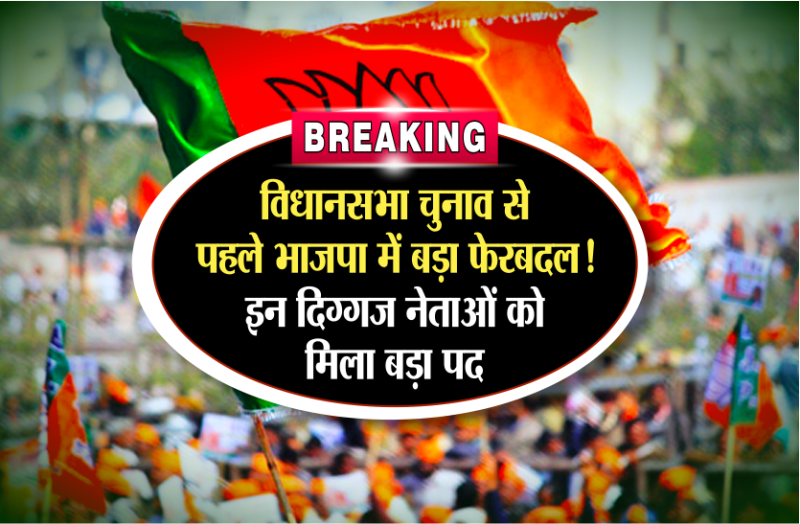 assembly election 2018 bjp big change in madhya pradesh 