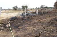 आखिर क्यों कलेक्टोरेट परिसर में हर साल लगती है आग और जल जाते हैं करोड़ों के पौधे