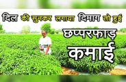 SIkar Farmer Jhabar Singh Success story