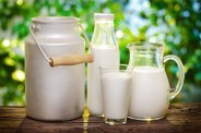 World Milk Day latest news in hindi