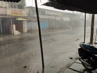 Change weather patterns Jhajjhim rain accompanied by storm storm, tree