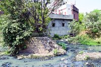 Satna Nagar Nigam Ward No. 24 news in hindi