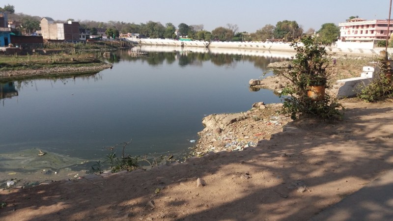 There are 4 ponds in 11 ponds of the city