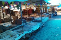 माह की पहली तारीख को सफाई के लिए मंडी रही बंद, निरीक्षण के दौरान सहायक कलेक्टर ने ये दिए निर्देश