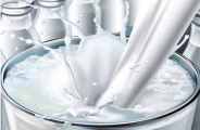 Get milk kids in the mid-day meal in bhilwara