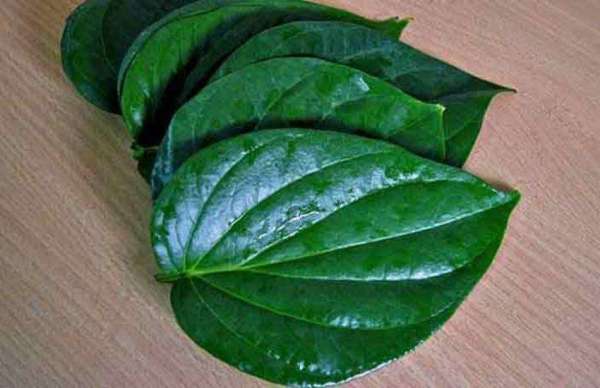 betel leaves