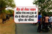 panchayat ka ajab formula, bhains ke peechhe ghumti rahi police public