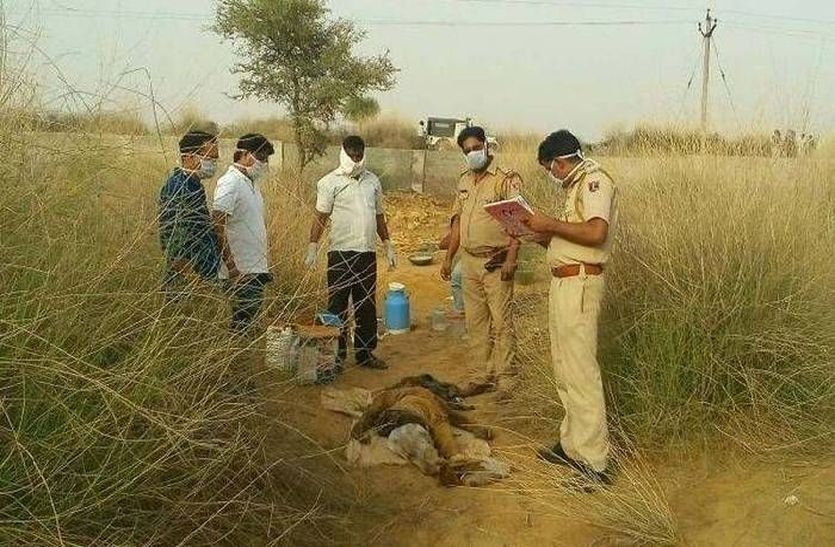 Dead body found in roadways bus depot in alwar